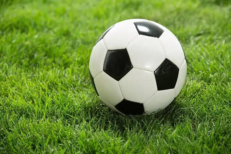 足球彩票310彩客网主界面展示